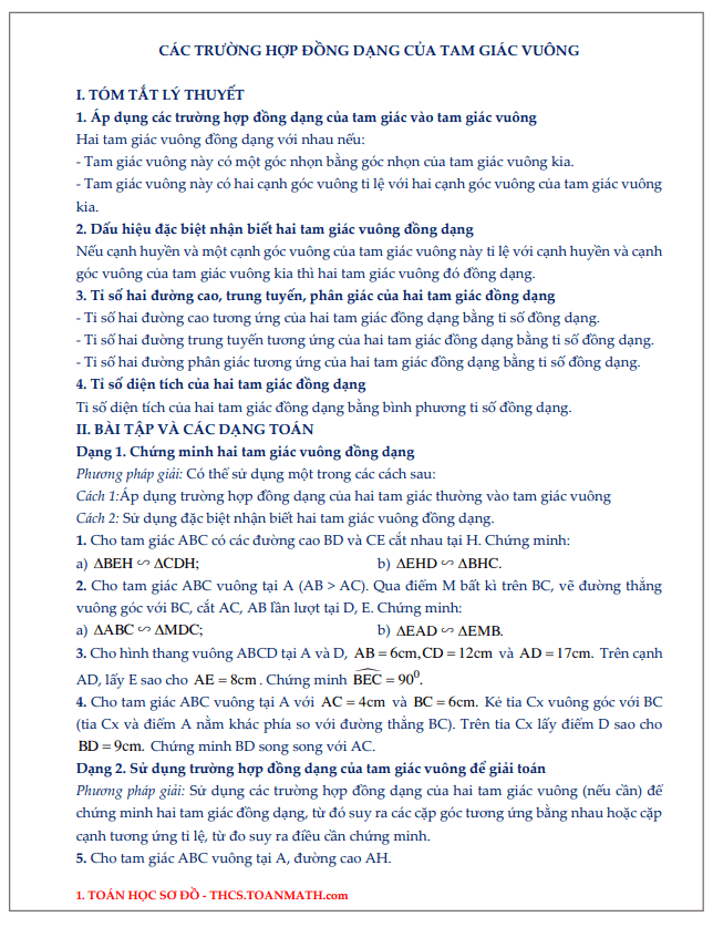 Chuyên đề các trường hợp đồng dạng của tam giác vuông