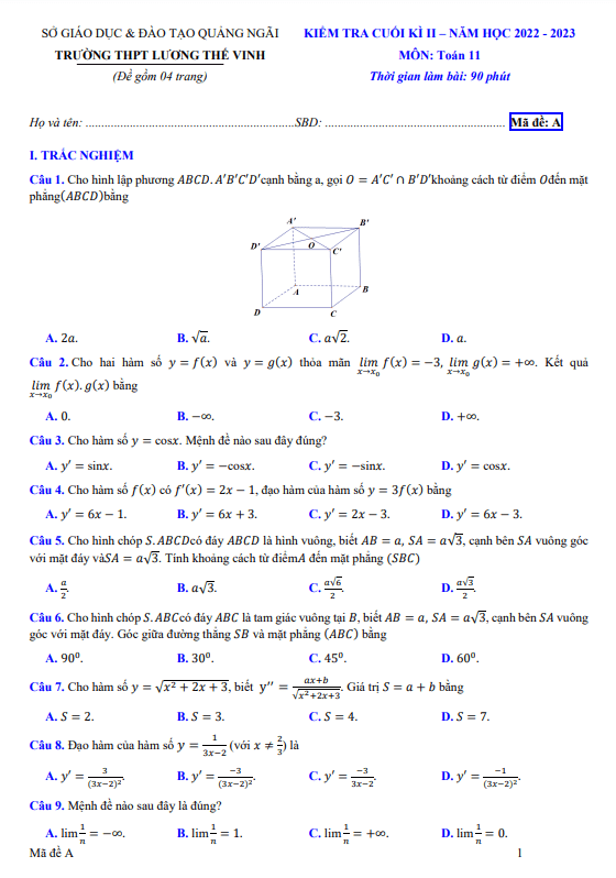 Đề cuối học kì 2 (HK2) lớp 11 môn Toán năm 2022 2023 trường THPT Lương Thế Vinh Quảng Ngãi