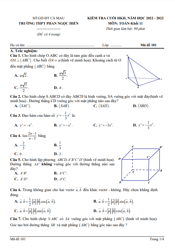 Đề cuối học kì 2 (HK2) lớp 11 môn Toán năm 2022 2023 trường THPT Phan Ngọc Hiển Cà Mau