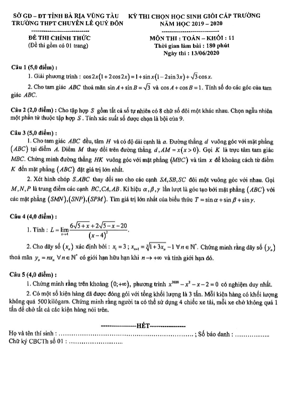 Đề thi chọn HSG lớp 11 môn Toán năm 2019 2020 trường chuyên Lê Quý Đôn BR VT