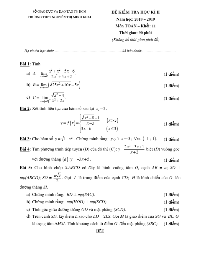 Đề thi học kì 2 (HK2) lớp 11 môn Toán năm 2018 – 2019 trường Nguyễn Thị Minh Khai – TP HCM