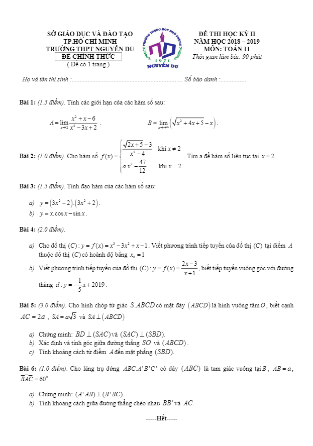 Đề thi học kì 2 (HK2) lớp 11 môn Toán năm 2018 – 2019 trường THPT Nguyễn Du – TP HCM