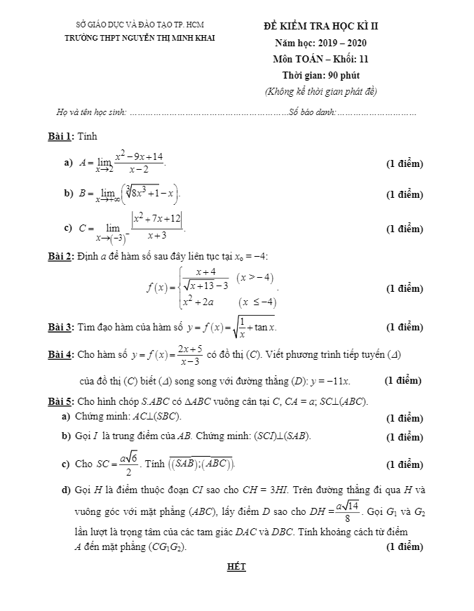 Đề thi học kì 2 (HK2) lớp 11 môn Toán năm 2019 2020 trường THPT Nguyễn Thị Minh Khai TP HCM