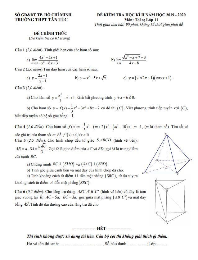Đề thi học kì 2 (HK2) lớp 11 môn Toán năm 2019 2020 trường THPT Tân Túc TP HCM