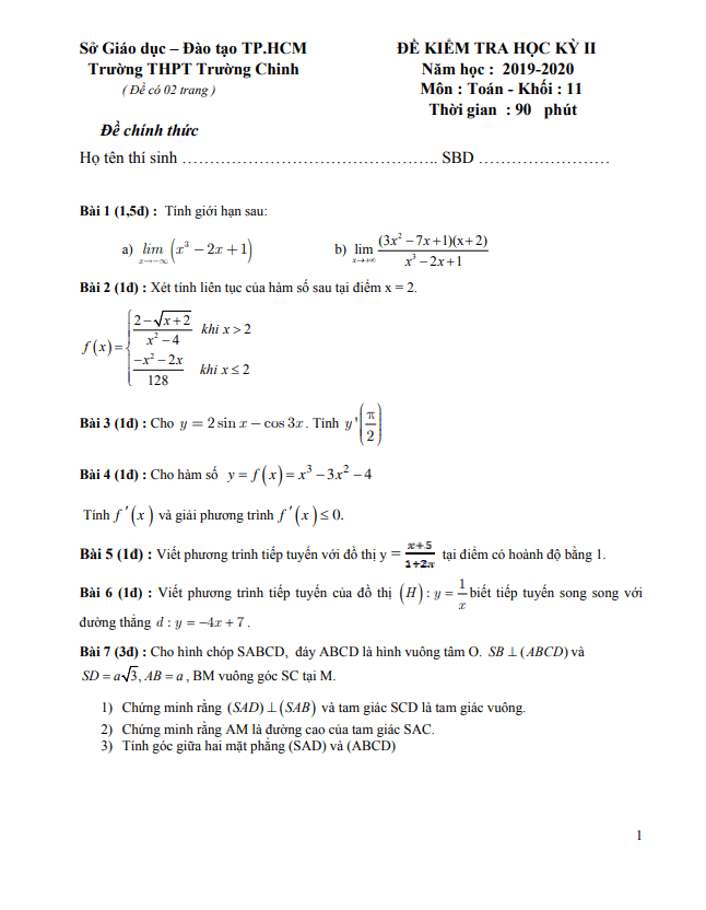 Đề thi học kì 2 (HK2) lớp 11 môn Toán năm 2019 2020 trường THPT Trường Chinh TP HCM