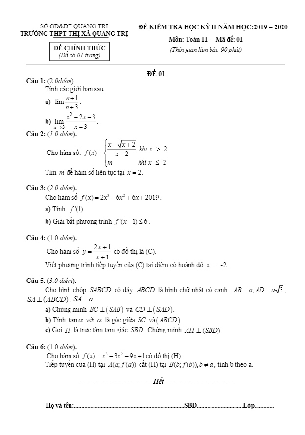 Đề thi học kì 2 (HK2) lớp 11 môn Toán năm học 2019 2020 trường THPT thị xã Quảng Trị