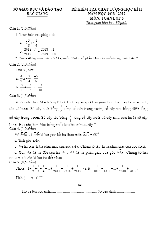 Đề thi học kì 2 (HK2) lớp 6 môn Toán năm học 2018 2019 sở GD ĐT Bắc Giang