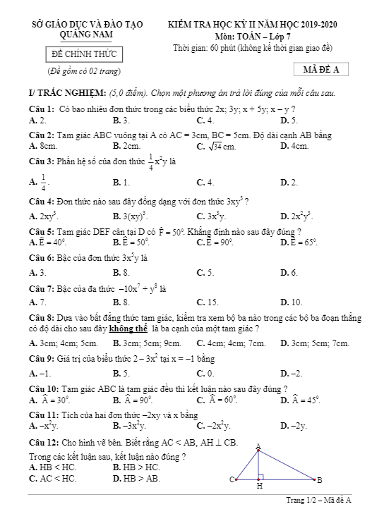 Đề thi học kì 2 (HK2) lớp 7 môn Toán năm học 2019 – 2020 sở GD ĐT Quảng Nam
