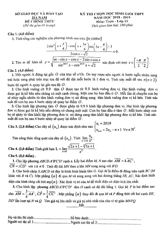Đề thi học sinh giỏi lớp 11 môn Toán THPT năm 2018 – 2019 sở GD ĐT Hà Nam