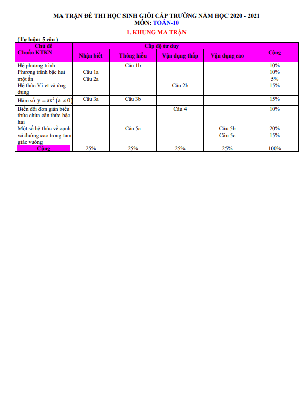 Đề thi HSG lớp 10 môn Toán cấp trường năm 2020 2021 trường THPT Nguyễn Huệ Quảng Nam