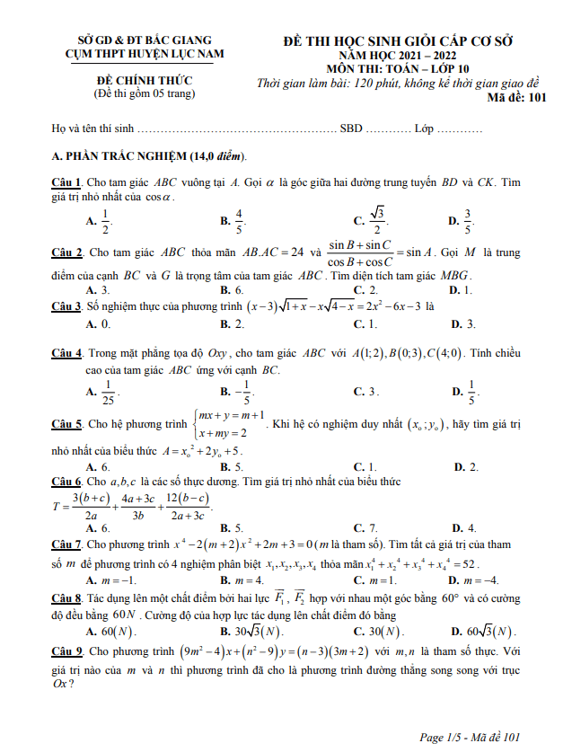 Đề thi HSG lớp 10 môn Toán năm 2021 2022 cụm THPT huyện Lục Nam Bắc Giang