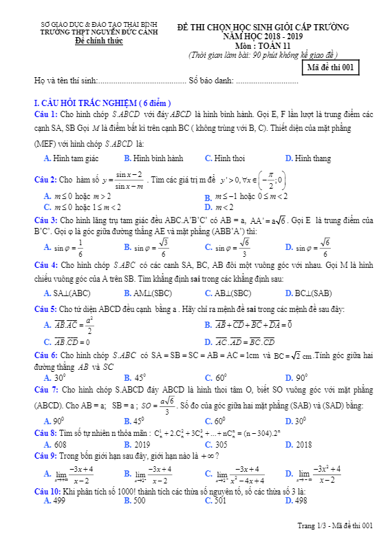 Đề thi HSG lớp 11 môn Toán năm 2018 – 2019 trường Nguyễn Đức Cảnh – Thái Bình