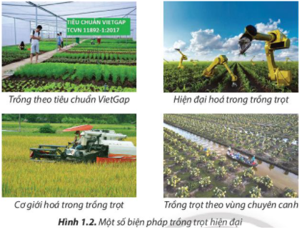 Giải bài 1 Nghề trồng trọt ở Việt Nam