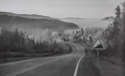 Giải câu 1 trang 81 sách phát triển năng lực toán lớp 9 tập 1