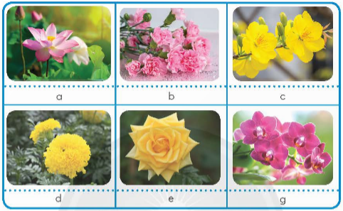 Em hãy điền tên gọi của các loài hoa có trong hình dưới đây.