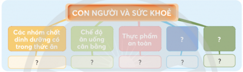 hình 2