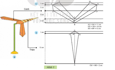 Em hãy quan sát mẫu chuồn chuồn thăng bằng trong Hình 1 và cho biết các bộ phận chính của chuồn chuồn thăng bằng