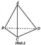 Khám phá 1 trang 100 toán lớp 11 tập 1 Chân trời