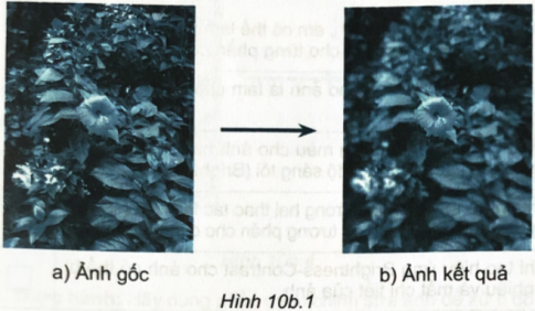 10b.3. Quan sát Hình 10b.1 và cho biết ảnh kết quả thu được sau khi sử dụng công cụ nào để xử lí?