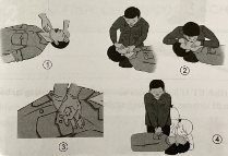 Lựa chọn trình tự đúng các thao tác sơ cứu nạn nhân bị điện giật, ngất, ngừng thở và bị co giật trong các hình dưới đây.