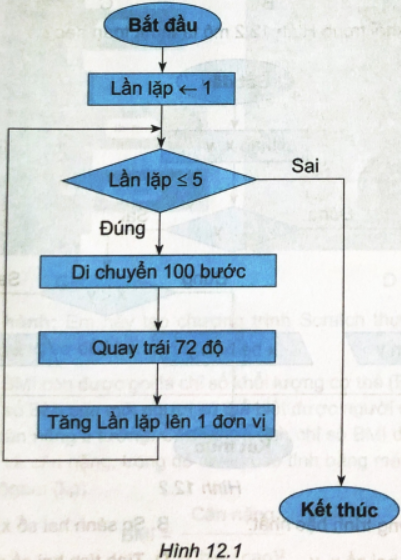 Sơ đồ khối trong Hình 12.1 thực hiện công việc gì?