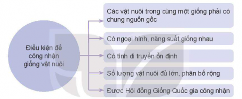 Quan sát Hình 3.2 và cho biết để được công nhận là giống vật nuôi thì cần có những điều kiện gì