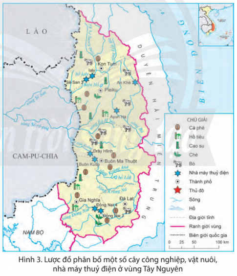 Quan sát hình 3 và đọc thông tin, em hãy kể tên một số cây công nghiệp và vật nuôi chủ yếu ở vùng Tây Nguyên. Cho biết nơi phân bố của chúng.