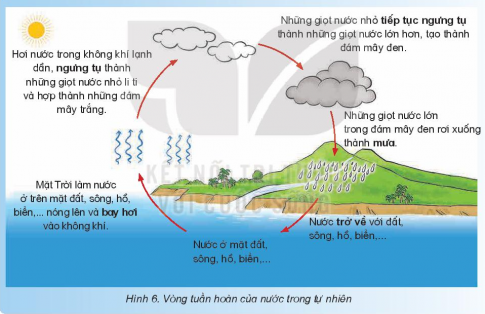 Quan sát và đọc thông tin trong hình 6