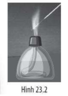 Hình 23.2 mô tả kĩ thuật nào trong nghiên cứu vi sinh vật?