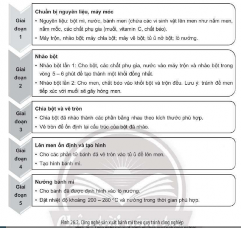 Hình 26.2 mô tả công nghệ sản xuất bánh mì theo quy trình công nghiệp. Quan sát hình và thực hiện các yêu cầu bên dưới.