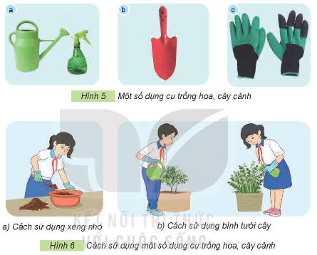  găng tay làm vườn, xẻng nhỏ, bình tưới cây