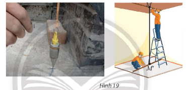 Thực hành 5 trang 62 toán lớp 11 tập 2 Chân trời