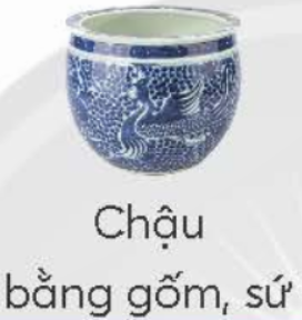 Em hãy ghép hình các chậu trồng hoa, cây cảnh dưới đây với đặc điểm của chúng sao cho phù hợp.