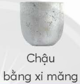 Em hãy ghép hình các chậu trồng hoa, cây cảnh dưới đây với đặc điểm của chúng sao cho phù hợp.