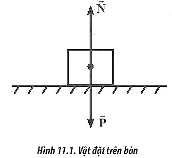 Theo định luật III Newton, các vật tương tác với nhau bằng các cặp lực trực đối gọi là lực và phản lực.