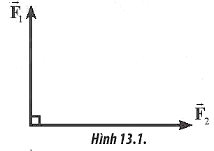 Hai lực có giá đồng quy, vuông góc có độ lớn các lực thành phần là F1 = 6N và F2 = 8N (Hình 13.1)