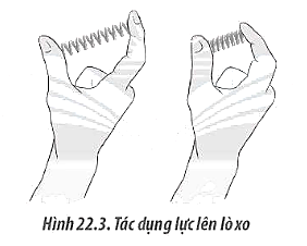 Hãy vẽ vectơ biểu diễn lực do tay tác dụng lên lò xo để lò xo có biến dạng nén (Hình 22.3)