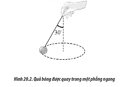 Một trái bóng được buộc vào một sợi dây và quay tròn đều trong mặt phẳng ngang như Hình 20.2.