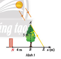 Bài tập 14 trang 43 toán lớp 11 tập 1 Chân trời