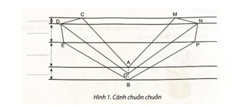 Bài tập 2. Điền kích thước phù hợp vào hình mô tả cánh và thân chuồn chuồn thăng bằng.  AC = AM = … OD = ON = … BE = BP = …  CM = MB = …