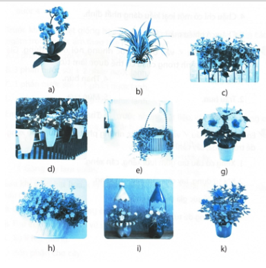 Bài tập 2. Trong các chậu hoa, cây cảnh ở các hình dưới đây, loại chậu nào phù hợp để trang trí trên bàn, loại chậu nào phù hợp để kẹp ở lan can, loại chậu nào phù hợp để treo?