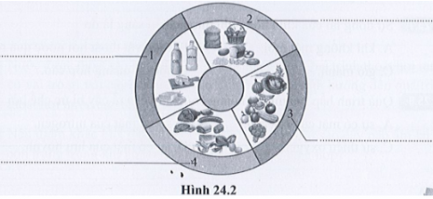 Em hãy điền tên bốn nhóm chất dinh dưỡng chính có trong hình 24.2. Cho biết vai trò của các chất dinh dưỡng đối với cơ thể sinh vật.