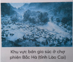  Quan sát hình bên và nêu những điểm nổi bật của chợ phiên Bắc Hà