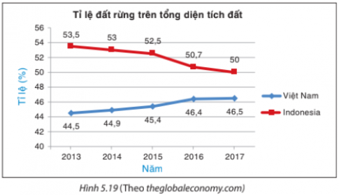 Giải Bài tập 5.12 trang 104 sách giáo khoa (SGK) toán lớp 8 tập 1 Kết nối