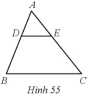 Cho tam giác ABC có DE // BC (Hình 55). Khẳng định nào dưới đây đúng? A. $\frac{AD}{AB}+\frac{CA}{CE}$ = 1. B. $\frac{AB}{AD}+\frac{CE}{CA}$ = 1. C. $\frac{AD}{AB}+\frac{CE}{CA}$ = 1. D. $\frac{AC}{AB}+\frac{CE}{CA}$ = 1.