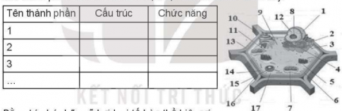 Chú thích tên các thành phần và hoàn thành bảng chức năng tương ứng