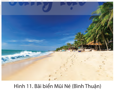 Quan sát hình 11, hình 12 và đọc thông tin, em hãy kể tên một số bãi biển ở vùng Duyên hải miền Trung.
