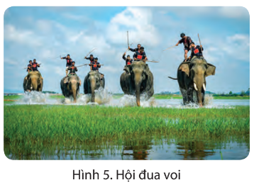 Quan sát các hình 5, 6 và đọc thông tin, em hãy nêu một số nét chính về lễ hội đua voi và lễ hội mừng lúa mới ở Tây Nguyên