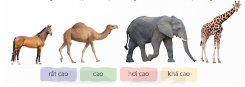 Câu 1. Chọn từ ngữ thích hợp để tả độ cao tăng dần của mỗi con vật trong hình.