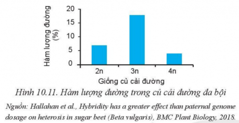 Giải bài 10 Phương pháp chọn, tạo giống cây trồng